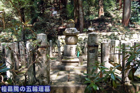 桂昌院の墓